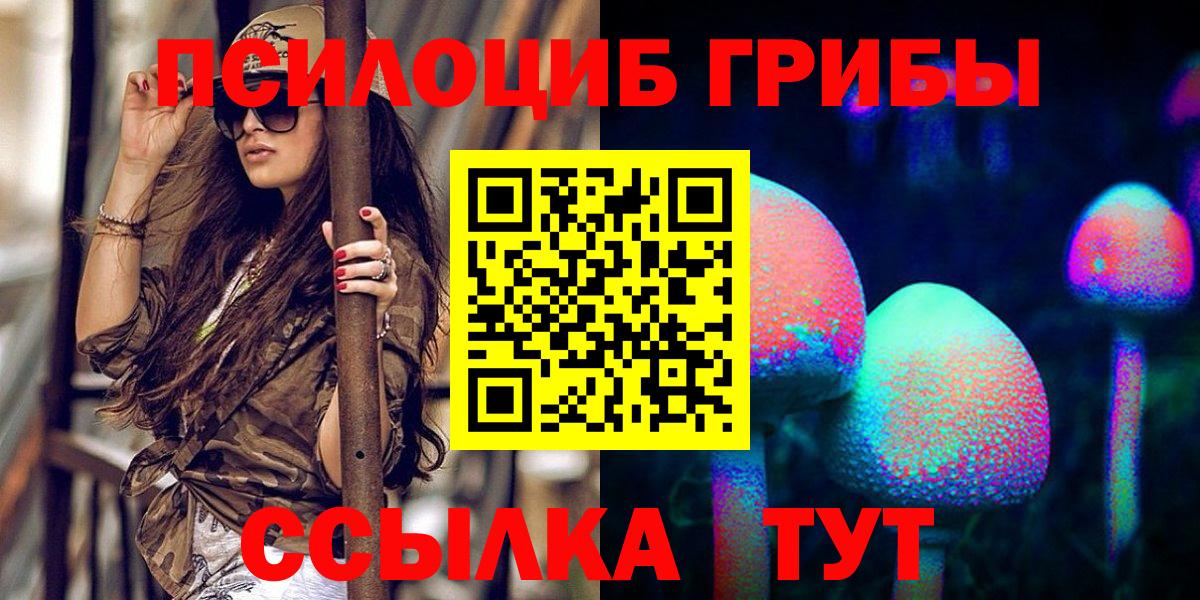 Галлюциногенные грибы Psilocybine cubensis Самара
